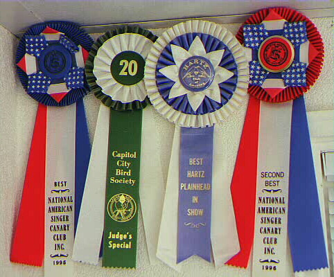 [ Rosette Awards ]