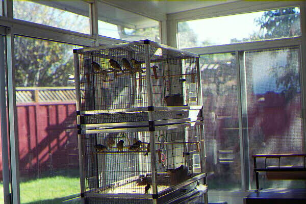 [ Bird Room ]