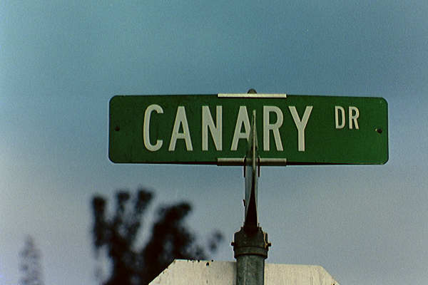 [ Canary Dr. Street Sign ]