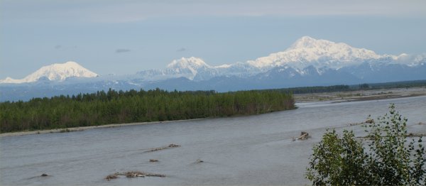 [ denali ]