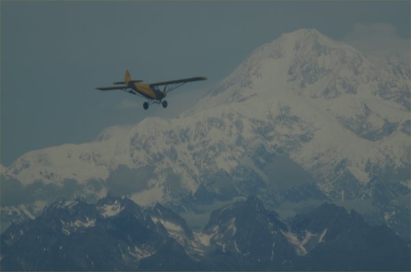 [ denali ]
