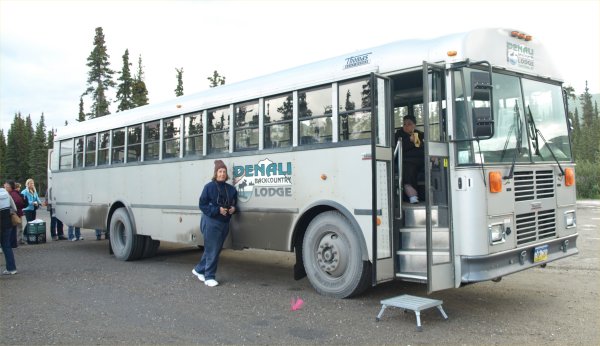 [ denalibus ]
