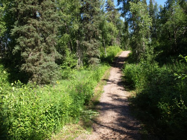 [ talkeetna lodge trail ]