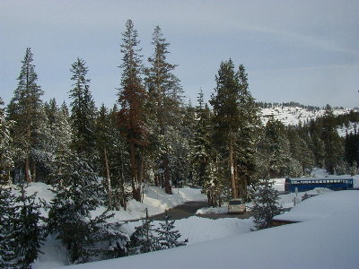 [ Monday afternoon view from room ]