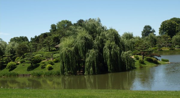 [ Botanic Gardens ]