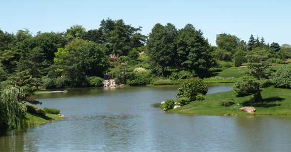 [ Botanic Gardens ]