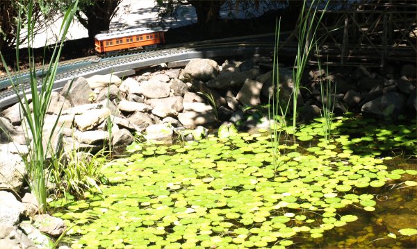 [ Botanic Gardens ]