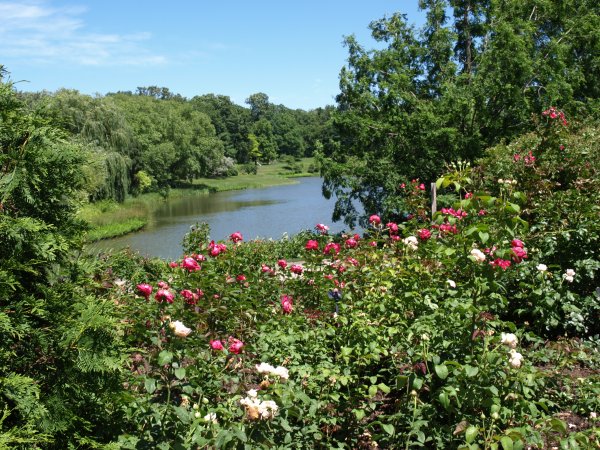 [ Botanic Gardens ]
