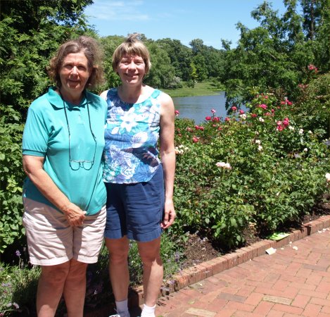 [ Botanic Gardens ]