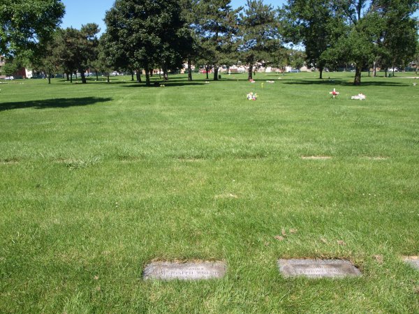 [ View of Wolnik Graves ]