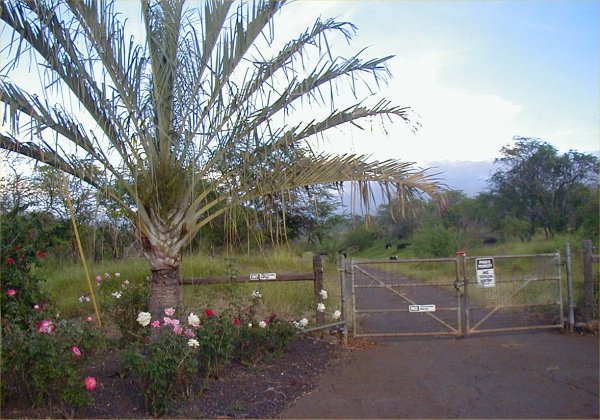 [ Nearby Ranch ]