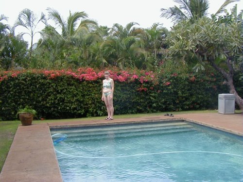 [ Ginger by the Pool ]
