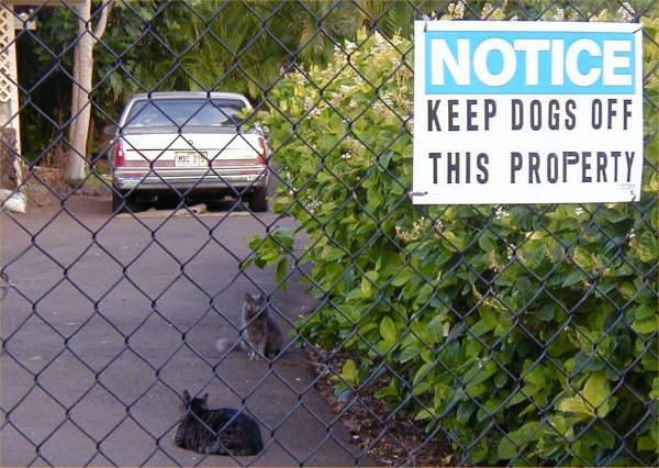 [ Dogs Off  ]