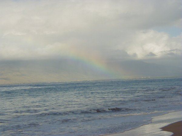 [ Rainbow ]