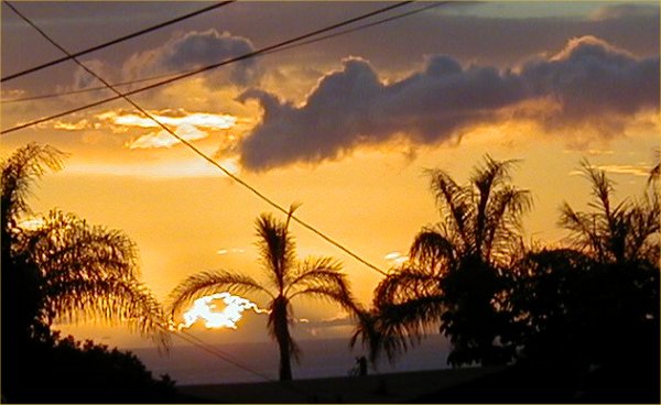 [ Sunset ]