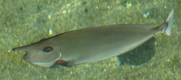 [ aquarium03 ]