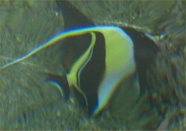 [ aquarium04 ]