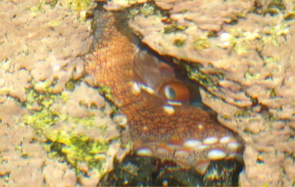 [ aquarium05 ]