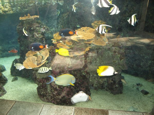 [ aquarium09 ]