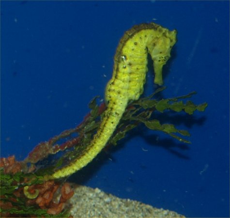 [ aquarium12 ]