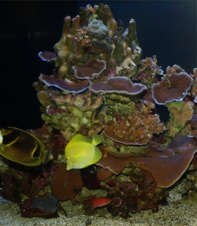 [ aquarium13 ]