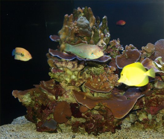 [ aquarium14 ]