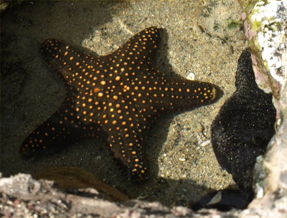 [ aquarium15 ]