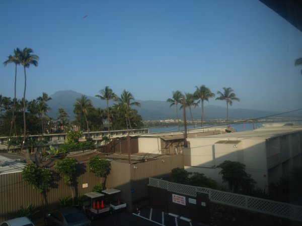 [ mauiseaside ]