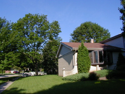 [ Bel Aire House ]