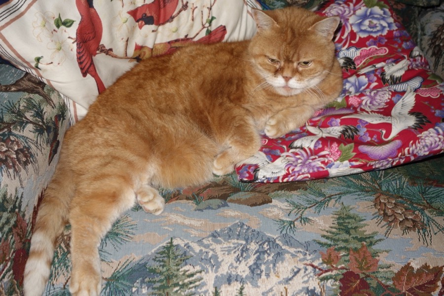 [ Resting ]