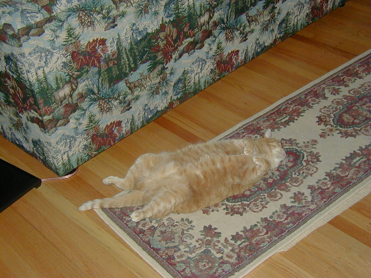 [ Sea Otter Mode ]