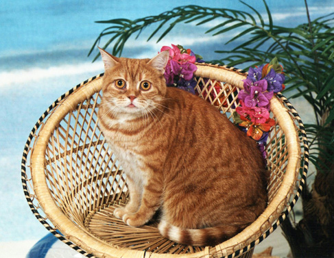 [ Dottie on July 2, 2000 ]