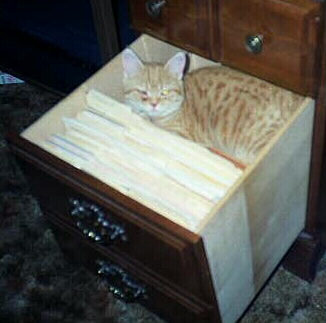 [ In Desk Drawer ]