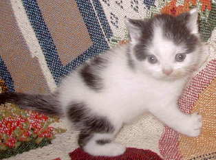 [ Trixie on January 14, 2002 ]