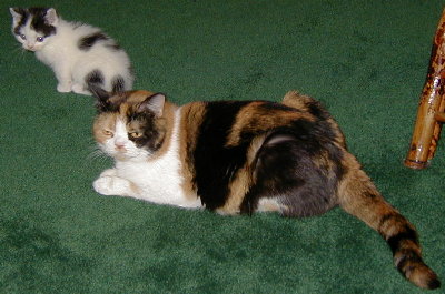 [ Trixie with Mother ]