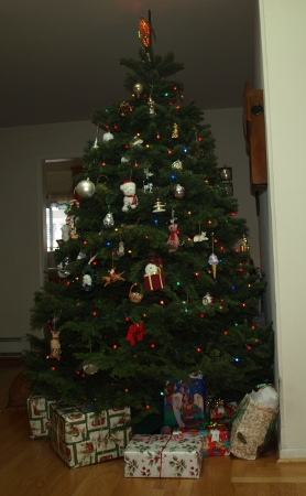 [ Tree ]