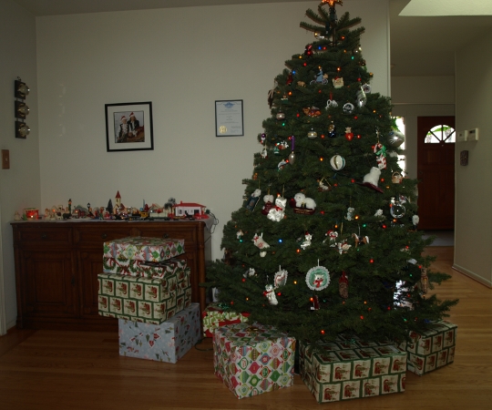 [ Tree ]