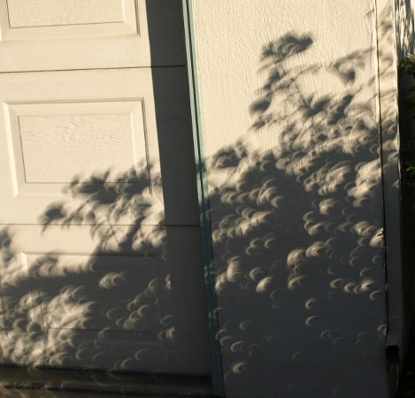  [ Eclipse ]