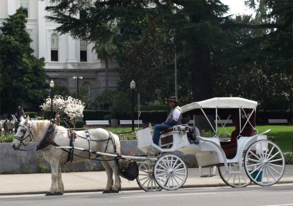 [ capitol2 ]