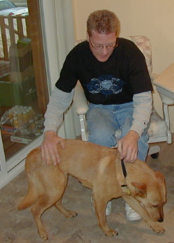 [ Belle ]