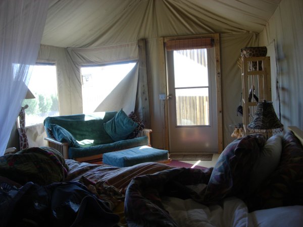 [ tent3 ]