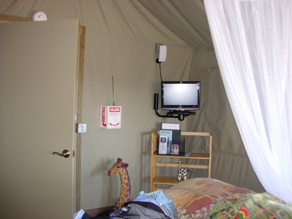 [ tent5 ]