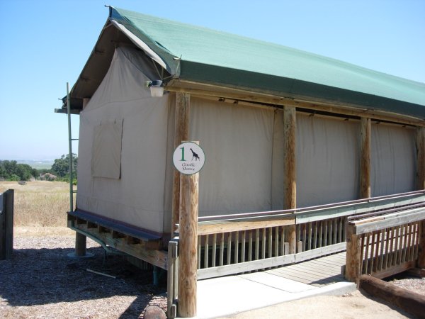 [ tent8 ]