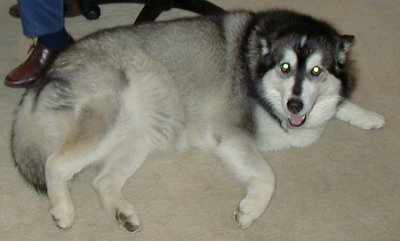[ Cloe ]