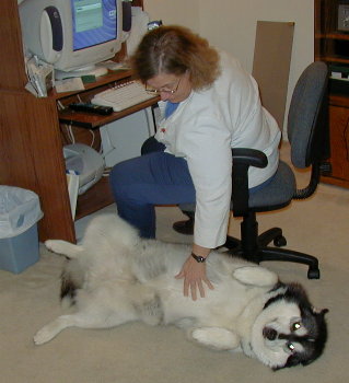 [ Karen petting Cloe ]