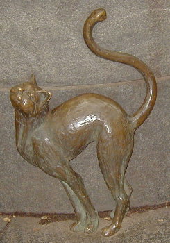 [ Stone Cat 1 ]