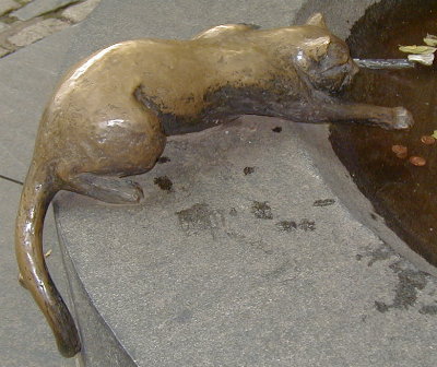 [ Stone Cat 2 ]