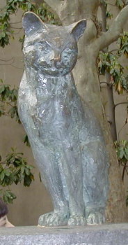 [ Stone Cat 3 ]