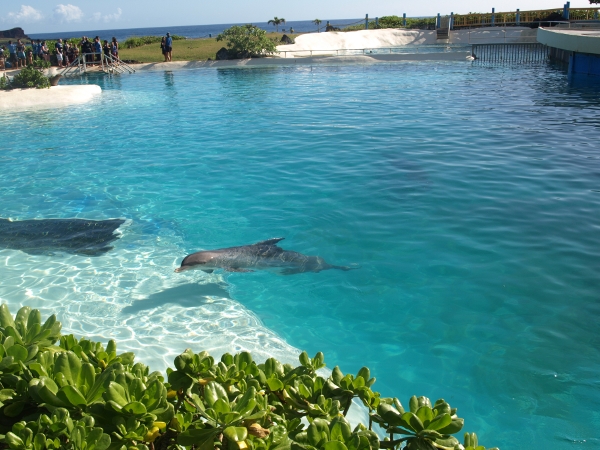 [ sealifepark02 ]