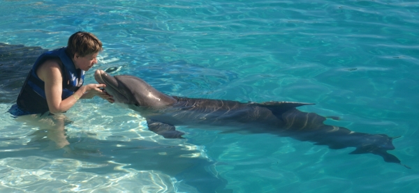 [ sealifepark03 ]